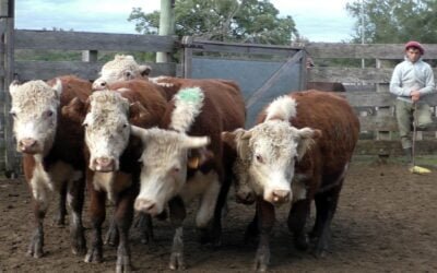 José María Clavijo Negocios Rurales en El Soldado mostró un mercado demandado con valores ajustados al momento.