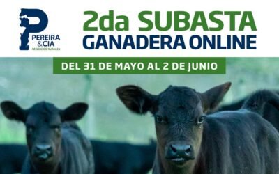 Con oferta totalmente certificada, Pereira & Cía. realiza nueva subasta online.