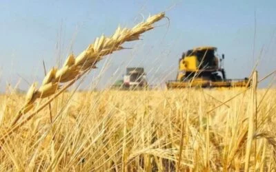 Presupuestos de invierno 2026: suben precios, bajan rendimientos.