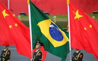 Brasil y China avanzan en arancel comercial de agronegocios.