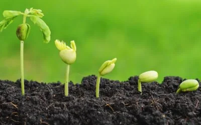 La orina humana, recurso oculto para fertilizar el futuro.