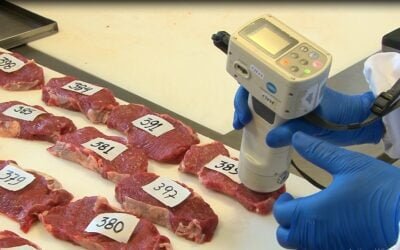 Día Nacional de la Carne: la confianza y la innovación de la cadena cárnica nacional hacen de Uruguay un país de referencia en el mundo.