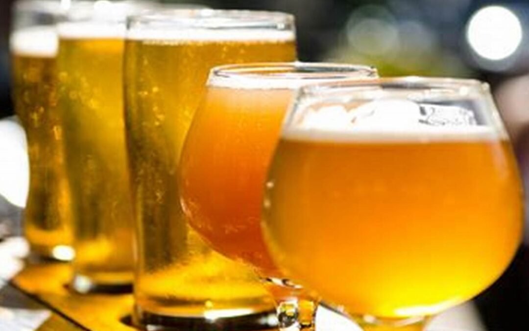 Argentina tendrá la primera cerveza transgénica del mundo.