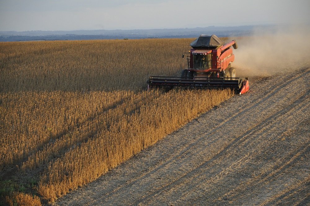 Dufour Commodities: Panorama agrícola, entre las cosechas y las siembras.