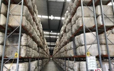 Se fortalece el mercado internacional de la lana.