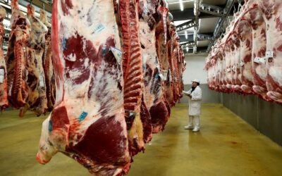 Argentina. Advierten sobre la informalidad en la venta de carne, con serios riesgos para el consumidor.