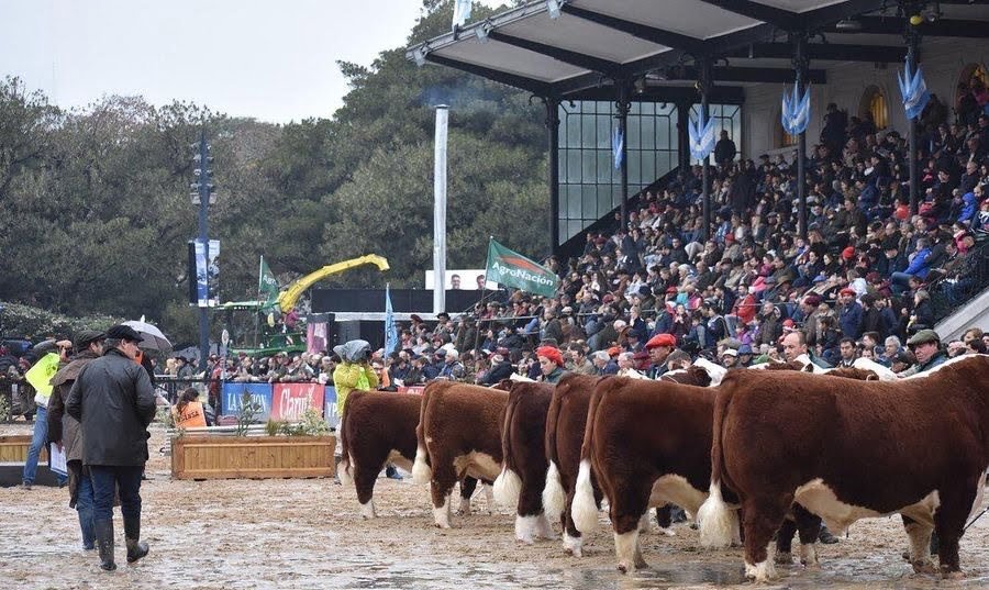 Jurado uruguayo en Expo Palermo en Buenos Aires.