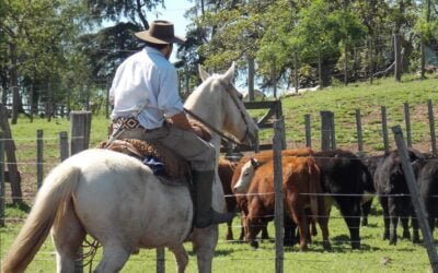 30 de abril, Día del Trabajador Rural.