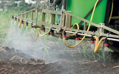 Detalle de los valores de los insumos y fertilizantes.