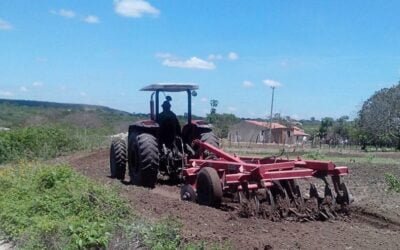 ¿Qué tan estresante es la actividad agropecuaria en Uruguay?