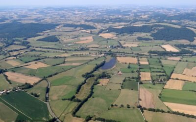 En el primer semestre 2025, se realizaron 1.251 contratos de arrendamientos.