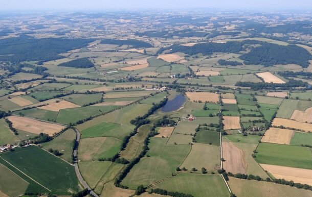 El valor promedio de la hectárea agrícola llegó a US$ 9.700 en Colonia y US$ 2.300 en Artigas