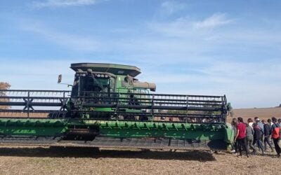 Escuela Agraria La Concordia cosechó 3,5 toneladas de soja por hectárea.