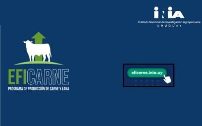 INIA presentó EfiCarne, nueva aplicación web para recría y engorde de razas carniceras.