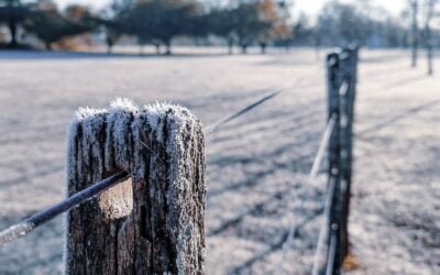Temperaturas por debajo de cero grados centígrados.