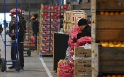 Situación y perspectiva de la comercialización mayorista de frutas y hortalizas.