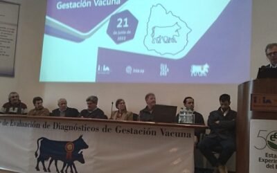 La preñez vacuna asciende al 80%, una de las más altas en 20 años.