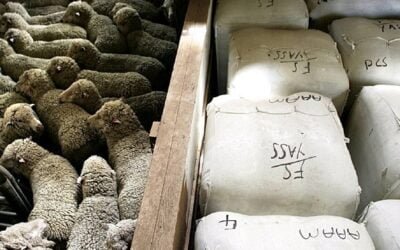 Mercado australiano con subas en moneda local y caídas en dólares.