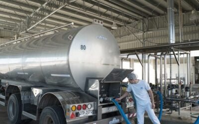 Conflicto lácteo. El nudo está en la cláusula de paz.