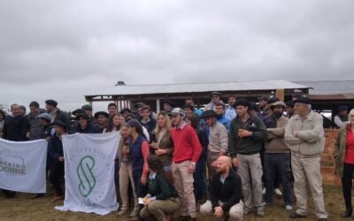 Estudiantes de UTU participaron de gira para trabajar con ovinos Merino Dohne