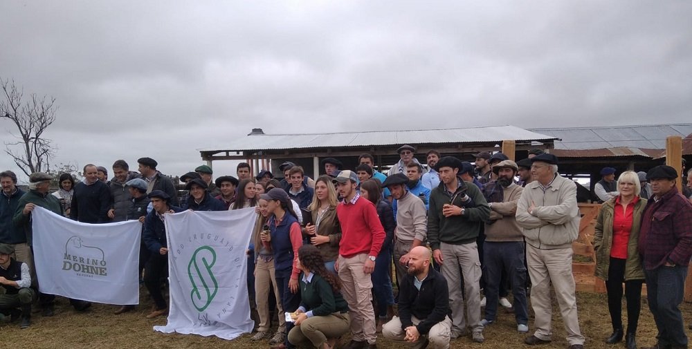 Estudiantes de UTU participaron de gira para trabajar con ovinos Merino Dohne