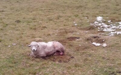 Hay que apoyar al productor que quiere trabajar.