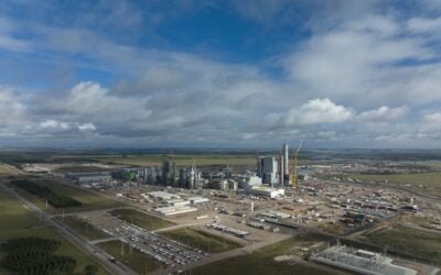 UPM Paso de los Toros comienza tareas para reiniciar la producción.