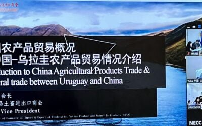 Cancillería participó de reunión con la Cámara comercial de China.