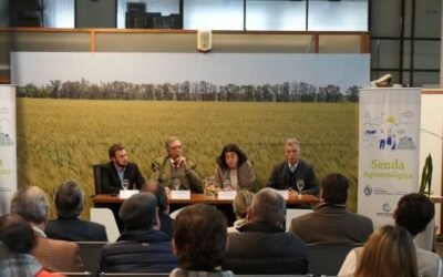 Senda agroecológica: Convocatoria a propuestas de transición agroecológica.