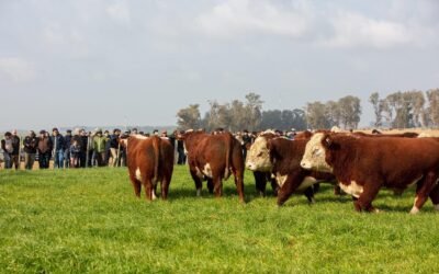Finalizó la gira Hereford, el presidente de la Sociedad de Criadores dijo que fue “muy fructífera” y subrayó la importancia de la genética.