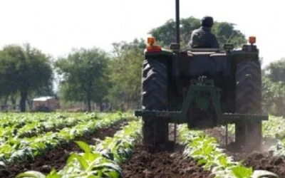 Invertir en agricultura es impulsar el trabajo y las economías en las zonas más vulnerables.