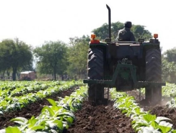 Preocupa la sostenibilidad ambiental y la seguridad alimentaria América Latina y el Caribe.