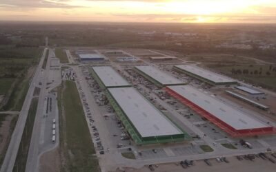 En el mercado de granja se incrementa la oferta en las hortalizas de hojas