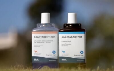 El adaptador Vit y Min de Biogénesis Bagó logra resultados destacados.