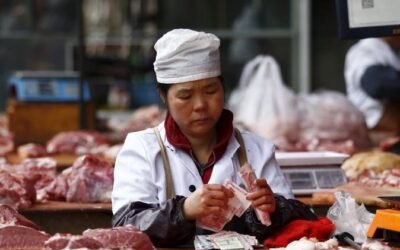 Fuerte crecimiento de las importaciones chinas de carne en mayo