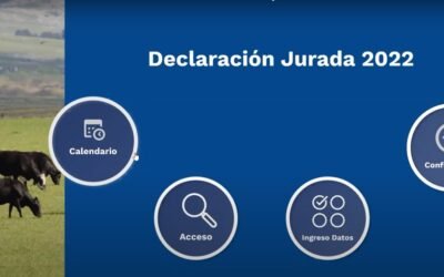Desde el 1° de julio se debe presentar la declaración jurada anual de Dicose 2022.