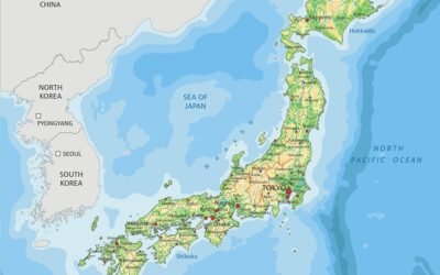 Agricultores de Japón dejan el arroz y se vuelcan al trigo y la soja.