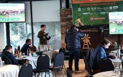 Sigue la agilidad, la alta colocación y muy buenos precios en Plaza Rural.