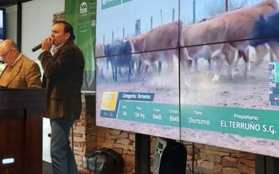 Plaza Rural colocó el 99% de la oferta.