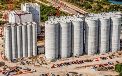 CIG espera que la producción mundial de cereales caiga 40 millones de toneladas.