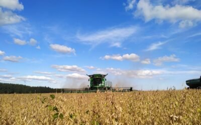 Los fondos rebalancean posiciones. El clima es el centro del optimismo.