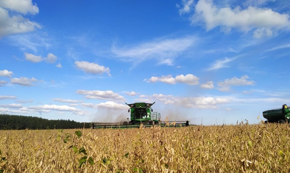 Brasil espera una cosecha 2021/22 récord en toneladas en granos.