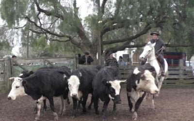 José María Clavijo Negocios Rurales, con agilidad en Don Bernardo, colocó surtida oferta.