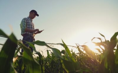 Ganadería y lechería: INIA y ARJU impulsan innovación entre los jóvenes rurales con soluciones certificadas por Converge-INIA.