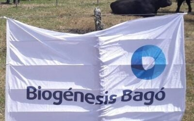 Estrategias reproductivas y lanzamiento de Progestar de la mano de Biogénesis Bagó en el Congreso Mundial de Buiatría 2025.