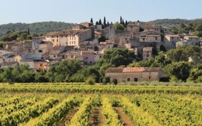 La próxima Conferencia Mundial de Enoturismo de la OMT se realizará en España.