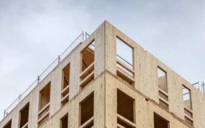 Estándares de seguridad: Las construcciones de madera son más eficientes frente al terremoto que las de hormigón.