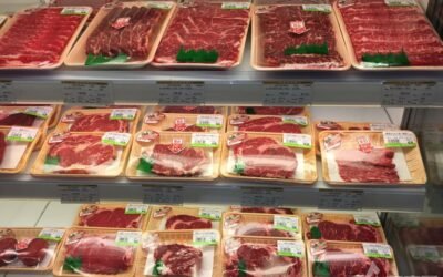 Ignacio Iriarte: “Todo lo que China consuma de carne vacuna, lo va a tener que importar”.