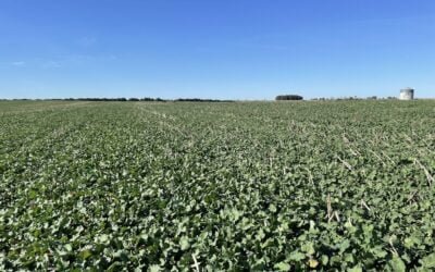Con las bajas de precios, las referencias de equilibrio agrícola cambiaron