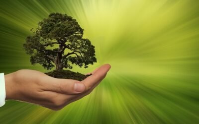 CAF realiza asamblea anual con foco en la temática energías renovables